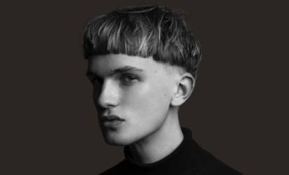 Стрижка горщик